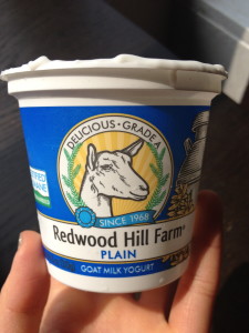 goat milk yogurt front