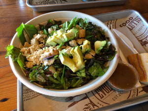 Food Evoluation Salad