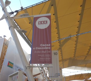 Cacao Expo