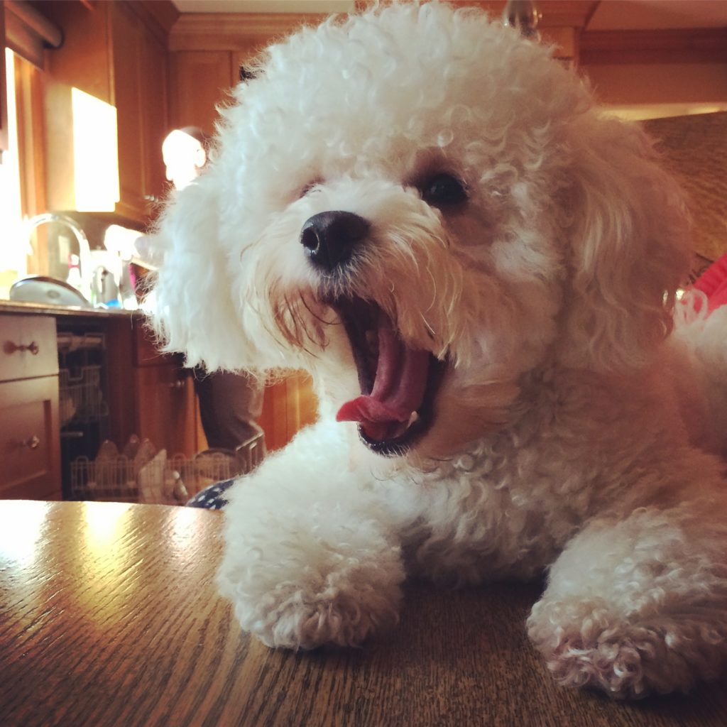 Eli-Christmas-Morning