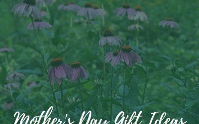 Mother’s Day Gift Ideas